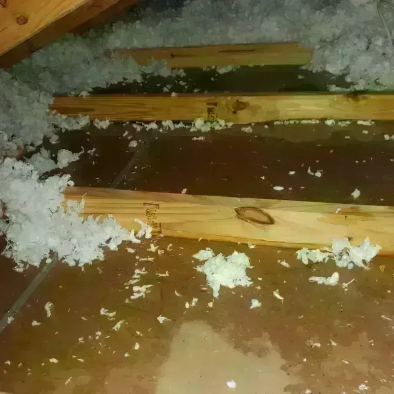 Attic Water Damage in McCrory, AR